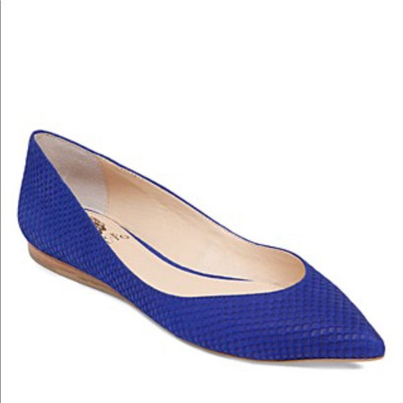 blue pointed flats